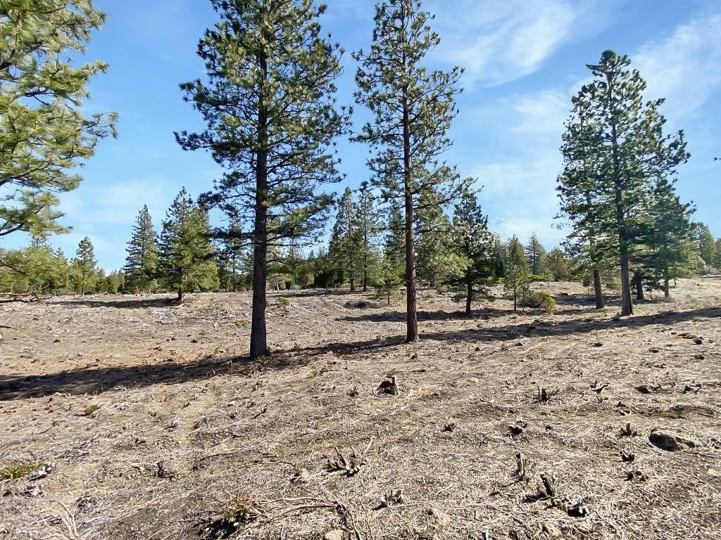 Lot 37 Hidden Meadow Dr, Weed — view 7 of 12