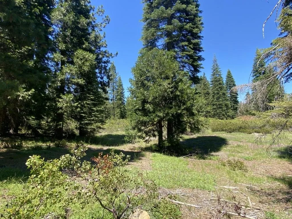 2-E-15 Snowline Cir, McCloud — view 12 of 12