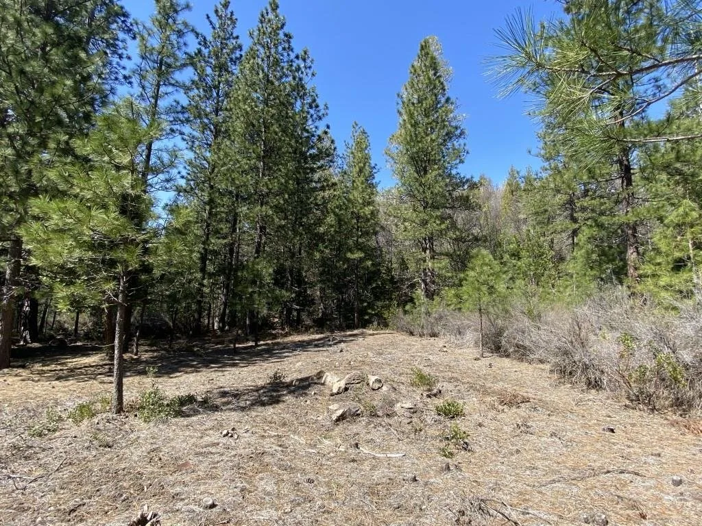 Lot 25 Meadow Ln, Weed — view 8 of 12