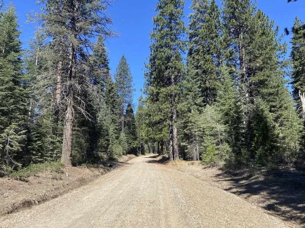 3-E-7 Mt Shasta Dr, McCloud — view 10 of 12