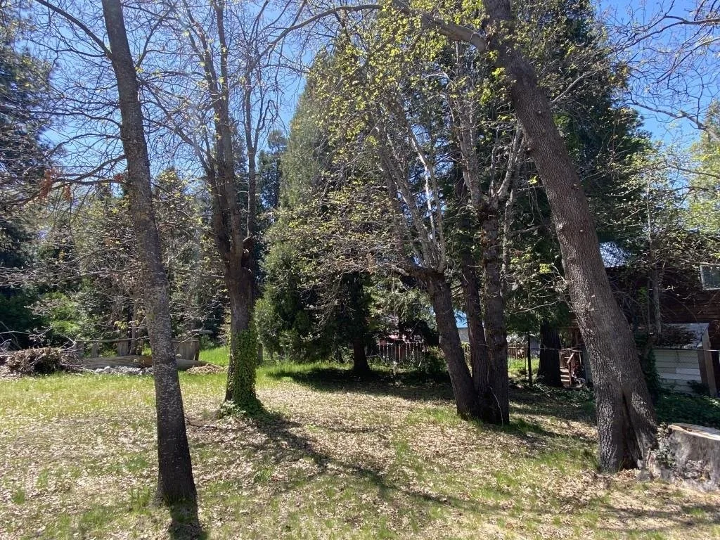 Outdoor space at Lots 4 & 5 Berry St, Mount Shasta — 5 of 6