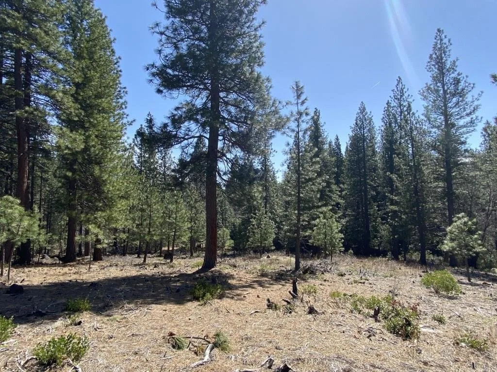 Lot 25 Meadow Ln, Weed — view 2 of 12