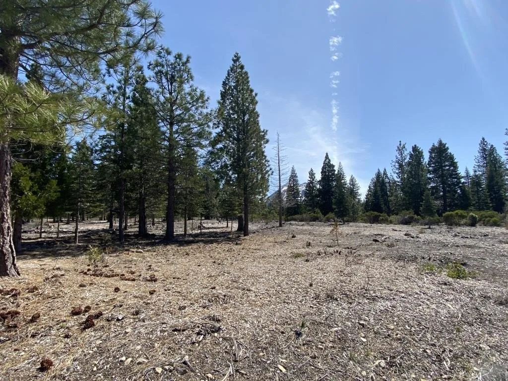 Lot 40 Hidden Meadow Dr, Weed — view 6 of 12
