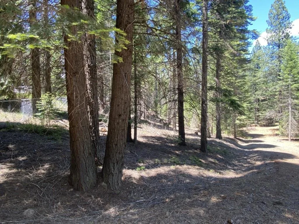 Lot 3 Twin Hills Ct, Mount Shasta — view 8 of 12