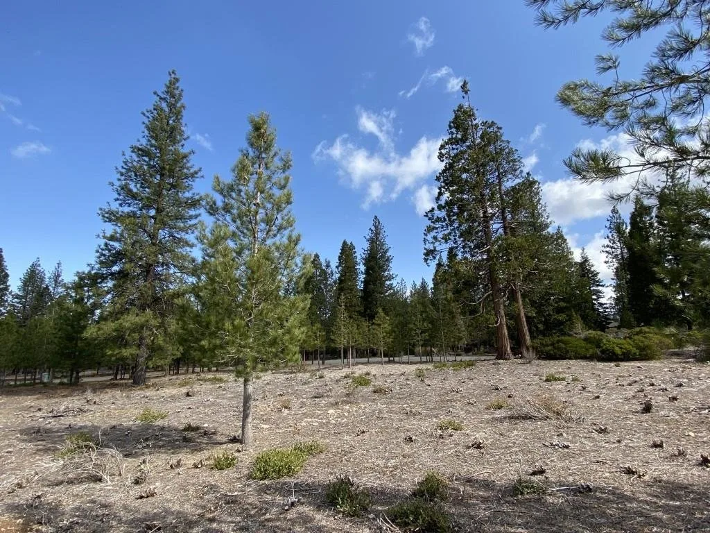 Lot 58 Heather Pl, Weed — view 4 of 12