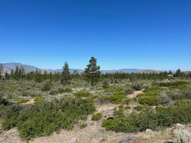 Blk 1 Lot 10 Big Springs Road, Weed — view 5 of 8