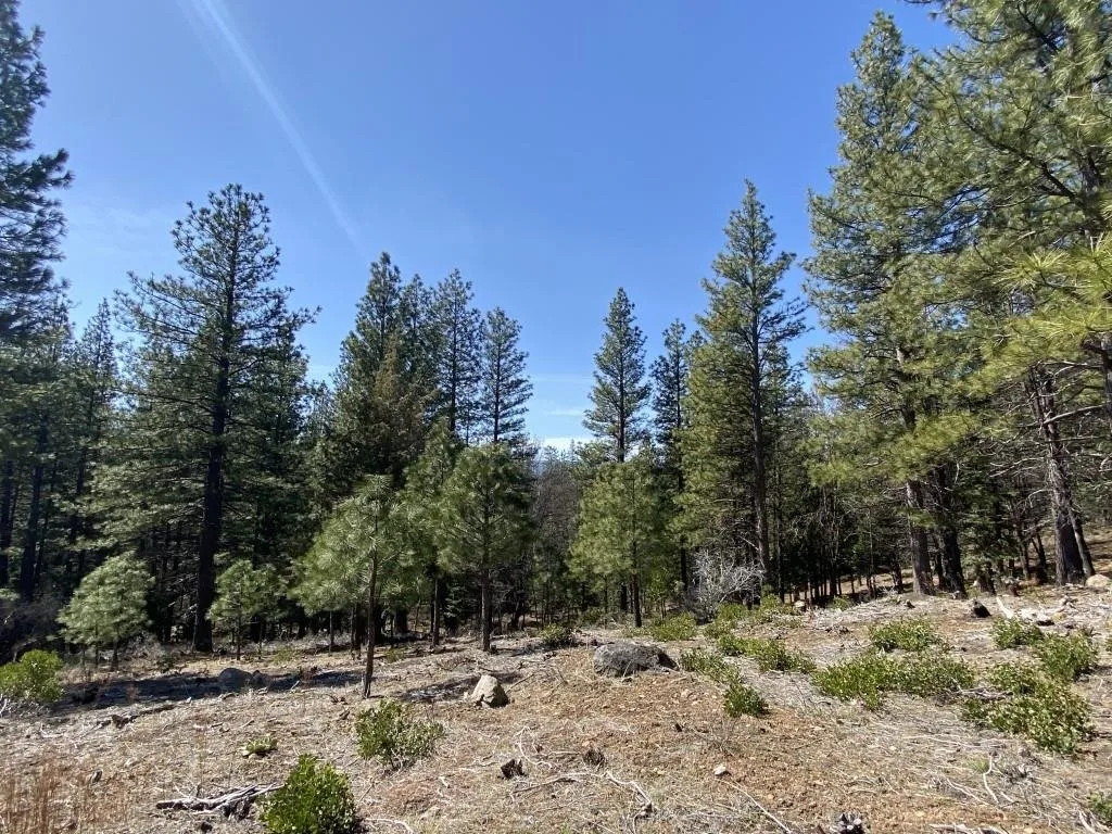 Lot 25 Meadow Ln, Weed — view 3 of 12