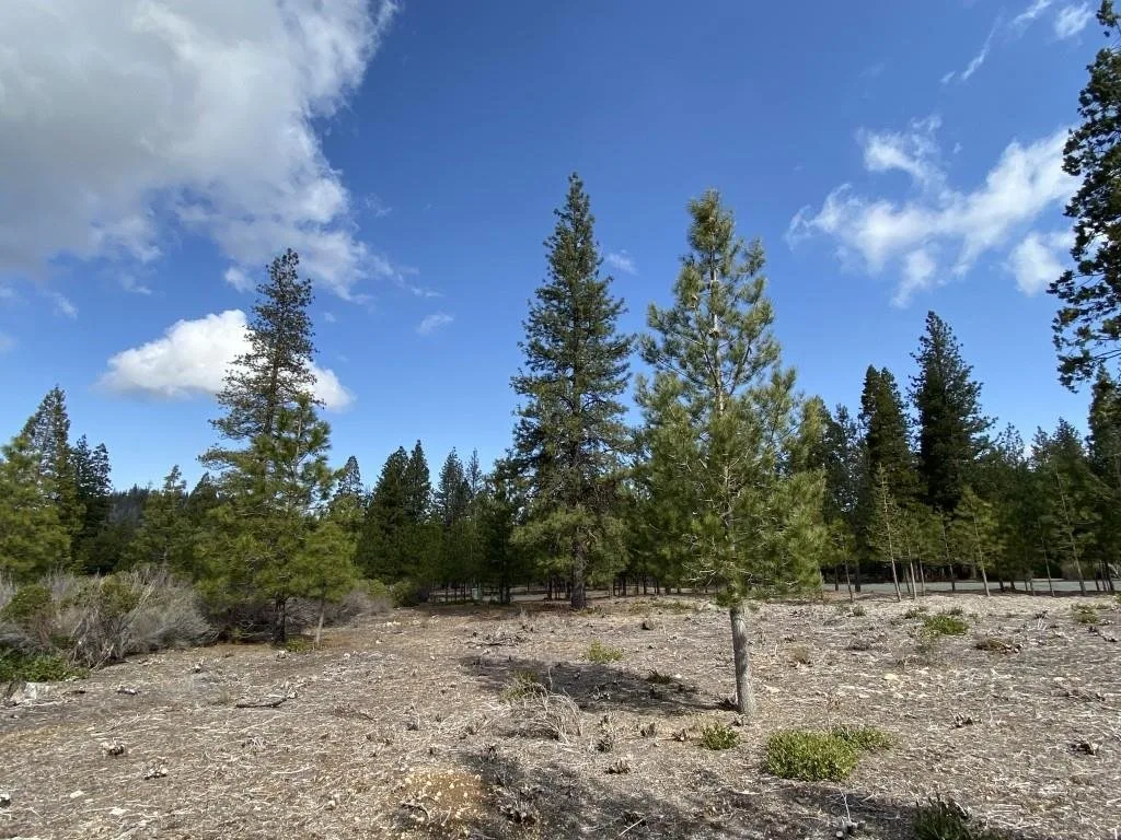 Lot 58 Heather Pl, Weed — view 10 of 12