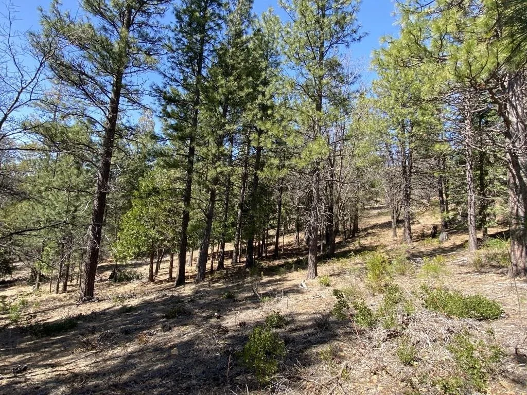 Lot 25 Meadow Ln, Weed — view 4 of 12