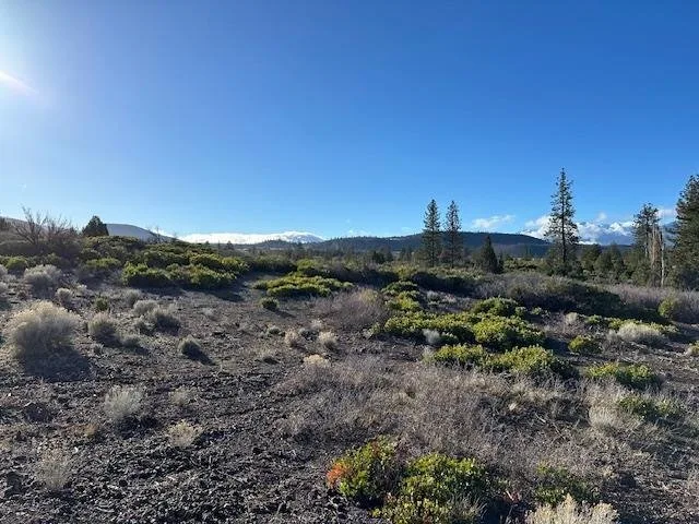 Blk 1 Lot 8 Jackson Ranch Road, Weed — view 3 of 6