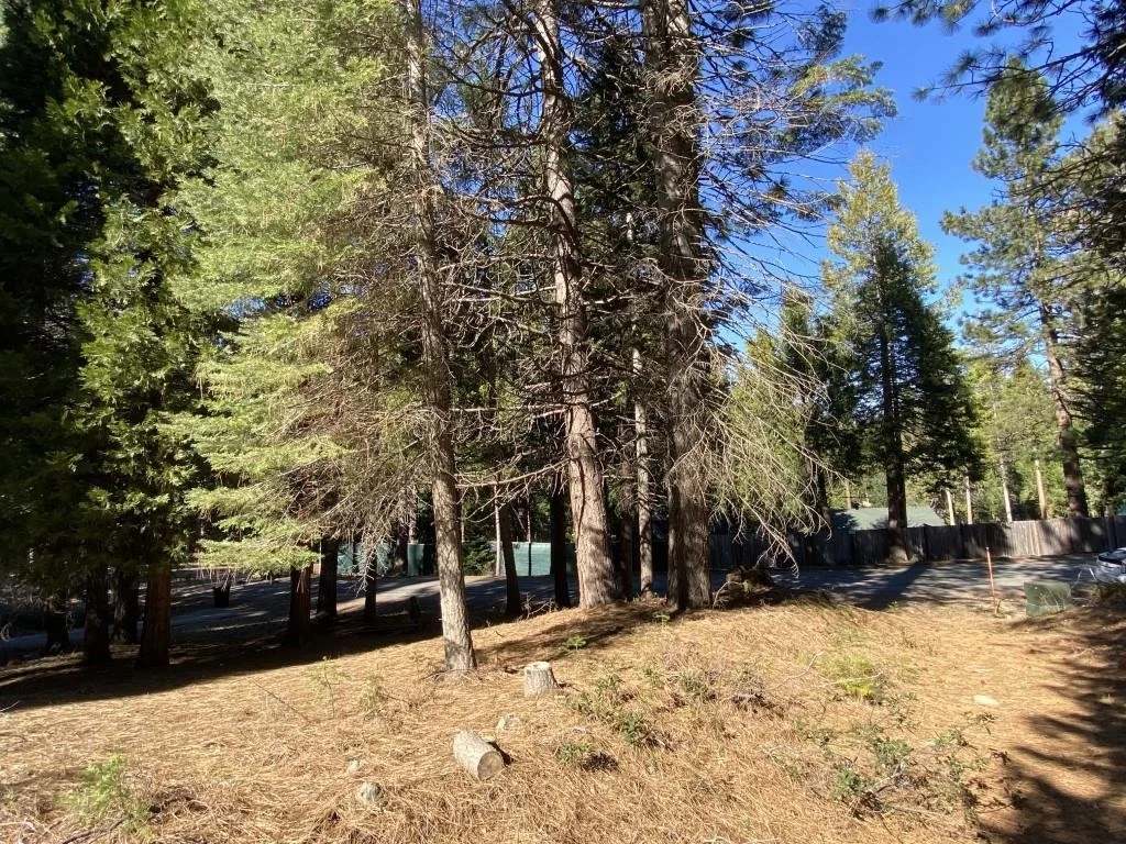 Lot 22 Woodside Ct, Mount Shasta — view 6 of 12