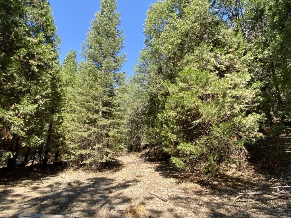 1-B-3 Cascade St, McCloud — view 7 of 12