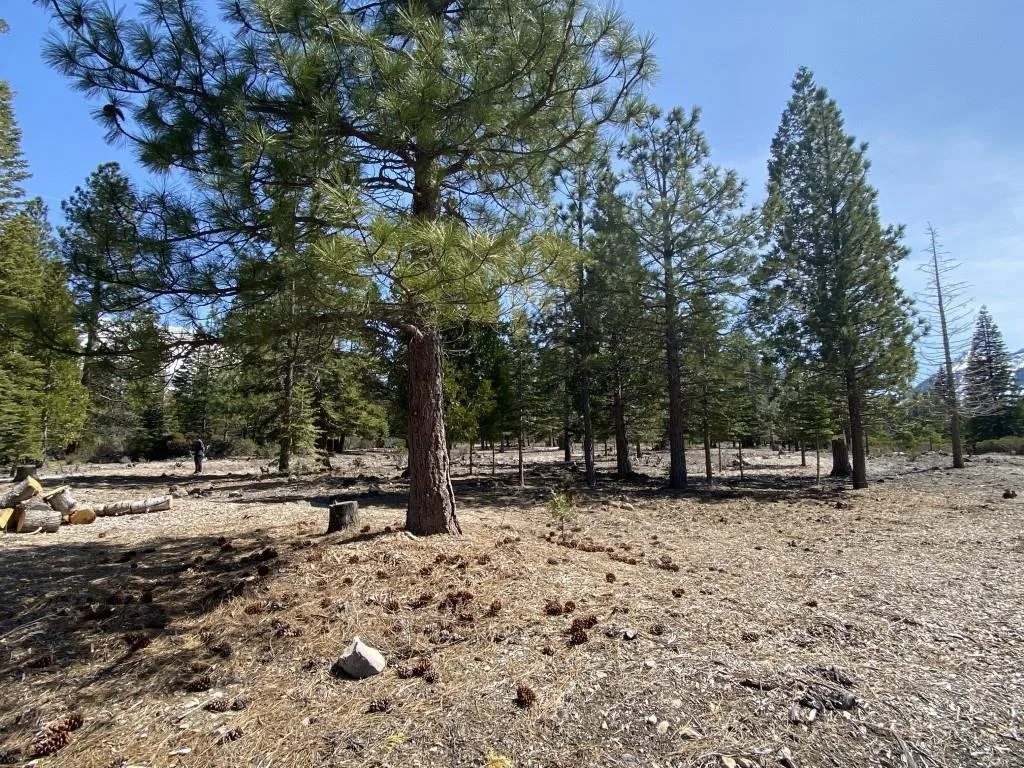 Lot 40 Hidden Meadow Dr, Weed — view 9 of 12