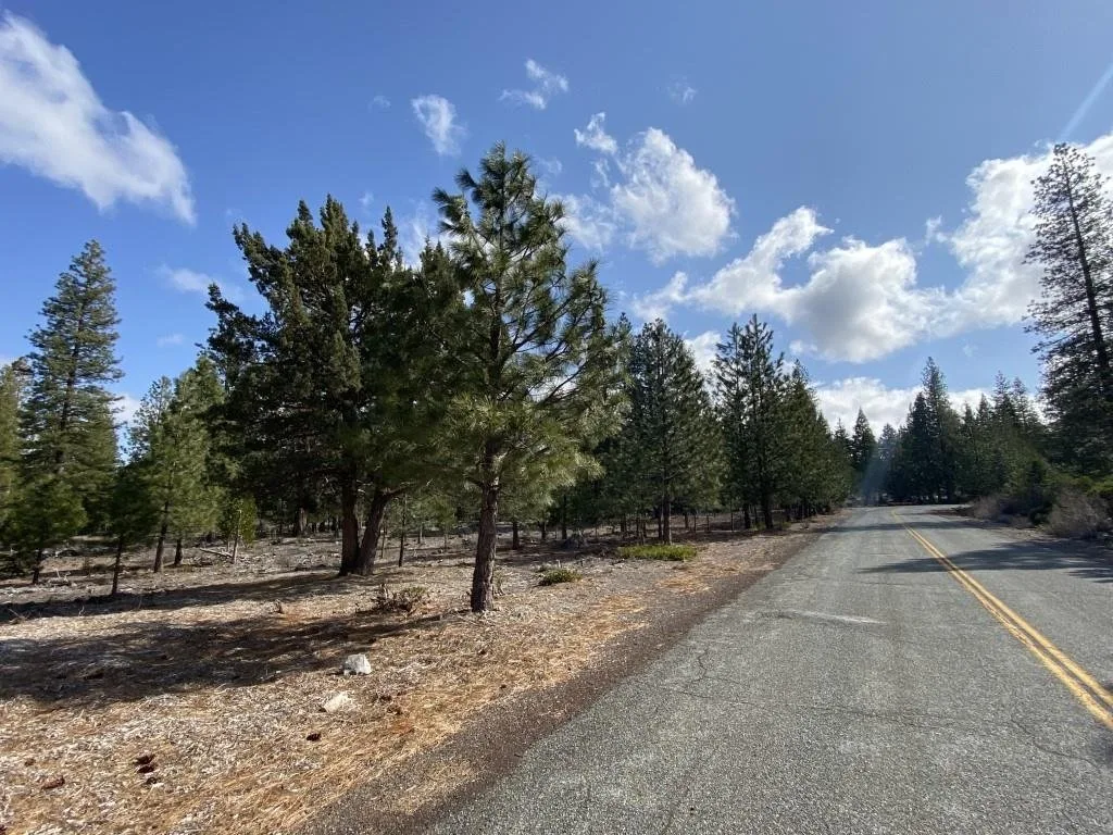 Lot 63 Heather Pl, Weed — view 11 of 12