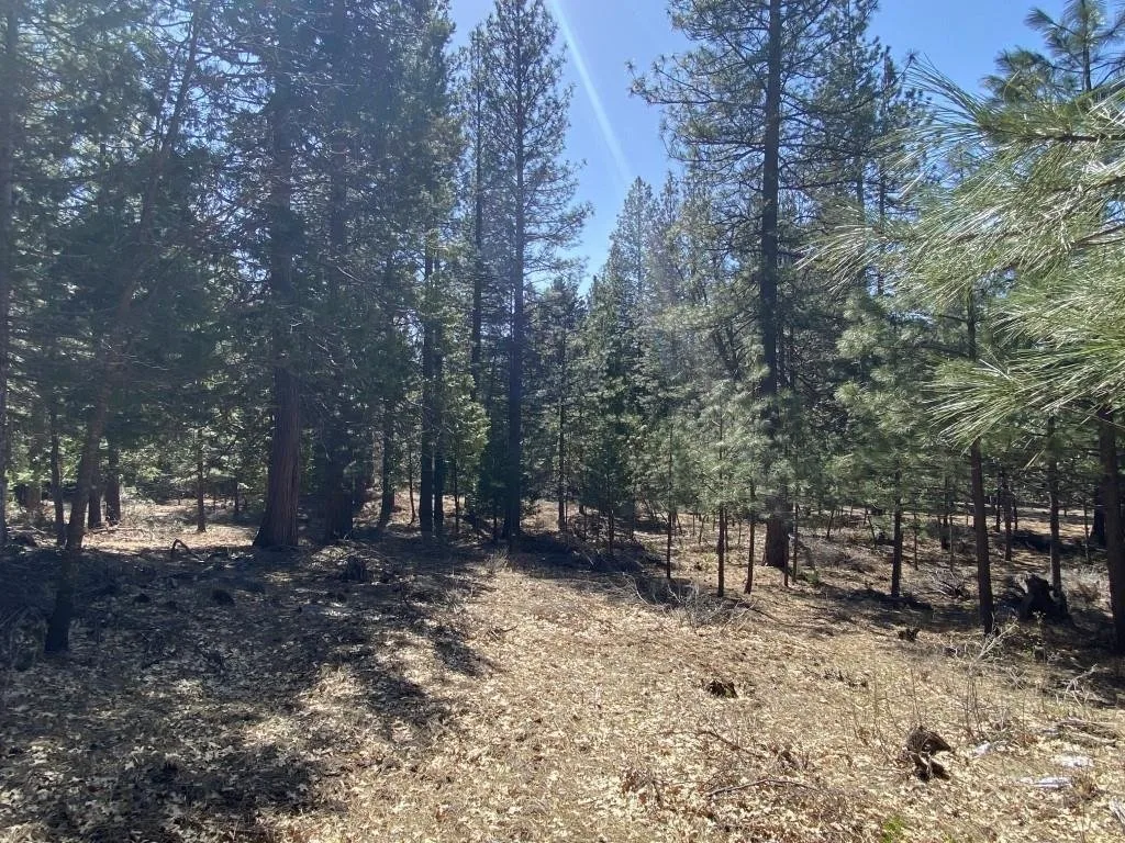 Lot 25 Meadow Ln, Weed — view 5 of 12