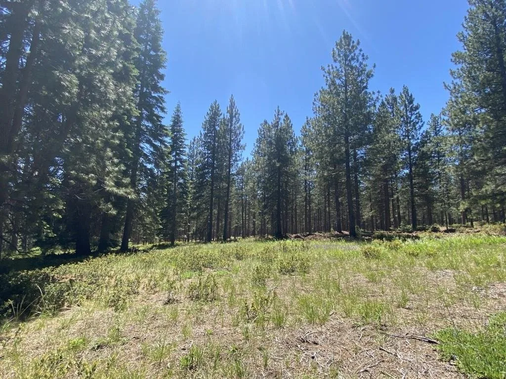 2-E-15 Snowline Cir, McCloud — view 5 of 12