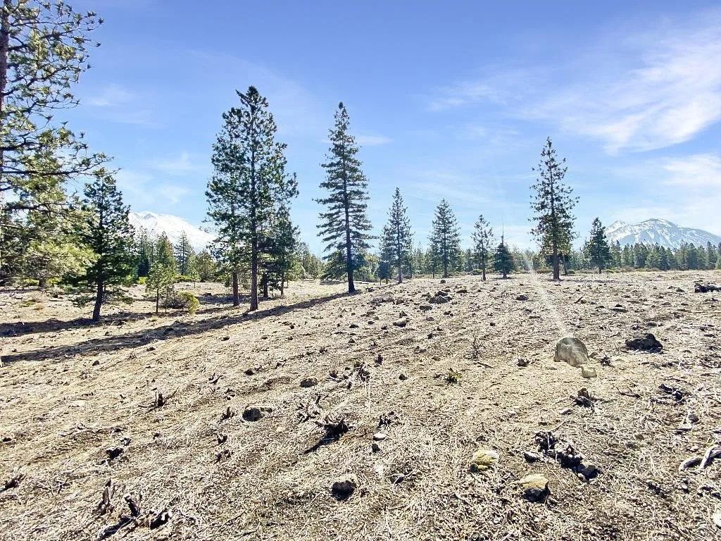 Lot 37 Hidden Meadow Dr, Weed — view 8 of 12