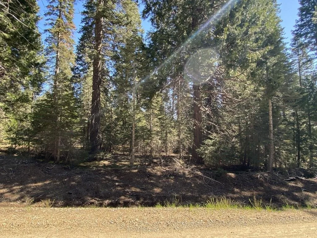 3-E-7 Mt Shasta Dr, McCloud — view 12 of 12