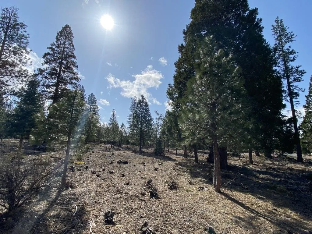 Lot 63 Heather Pl, Weed — view 3 of 12