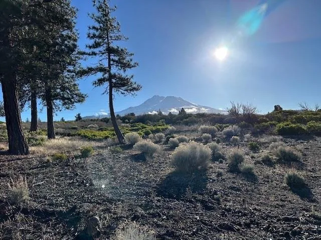 Blk 1 Lot 8 Jackson Ranch Road, Weed — view 4 of 6