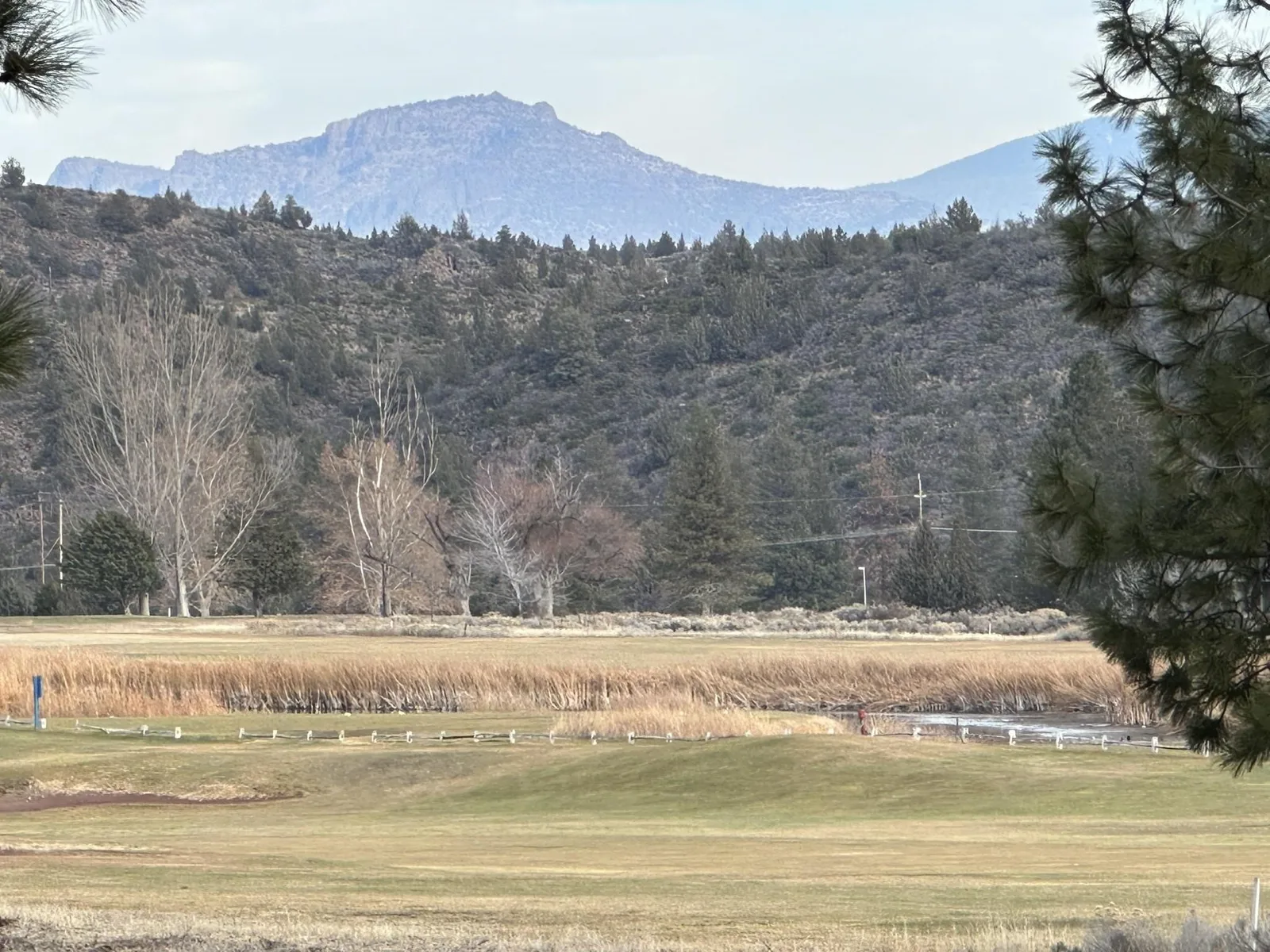 View at 5-3/276 Palmer Drive, Weed — 6 of 6