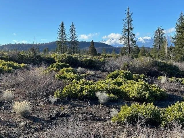 Blk 1 Lot 8 Jackson Ranch Road, Weed — view 2 of 6