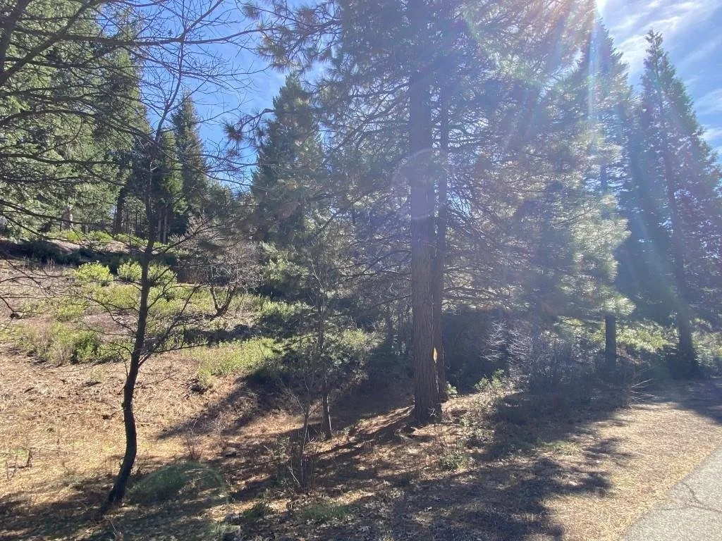 Lot 7 Andrew Ct, Mount Shasta — view 6 of 11