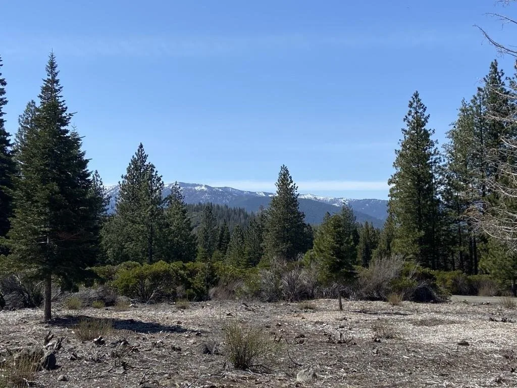 Lot 40 Hidden Meadow Dr, Weed — view 4 of 12