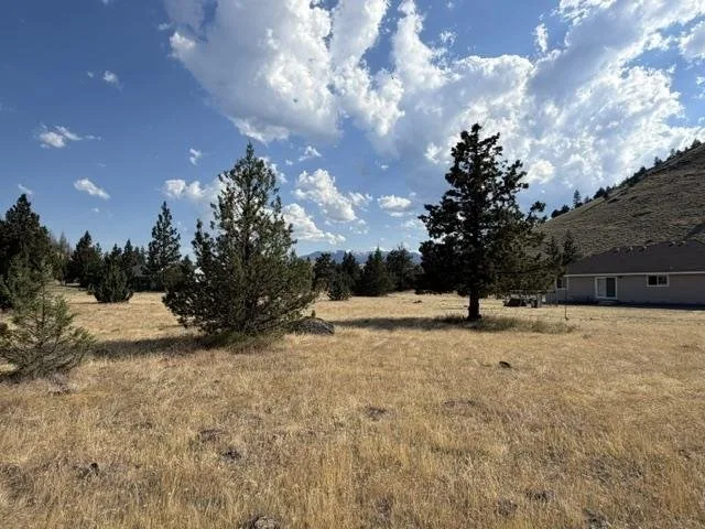 5-4/157 Mt. Blanch Dr., Weed — view 2 of 6