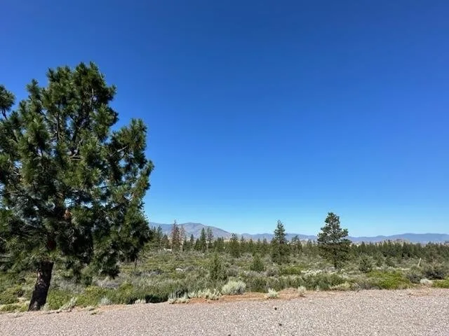 Blk 1 Lot 10 Big Springs Road, Weed — view 6 of 8