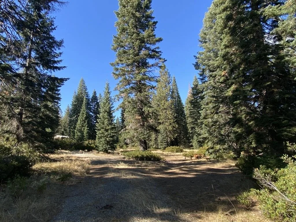 4-H-6 & 7 Ridge Dr, McCloud — view 5 of 12