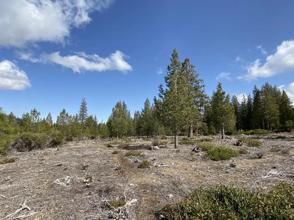 Lot 58 Heather Pl, Weed — view 9 of 12