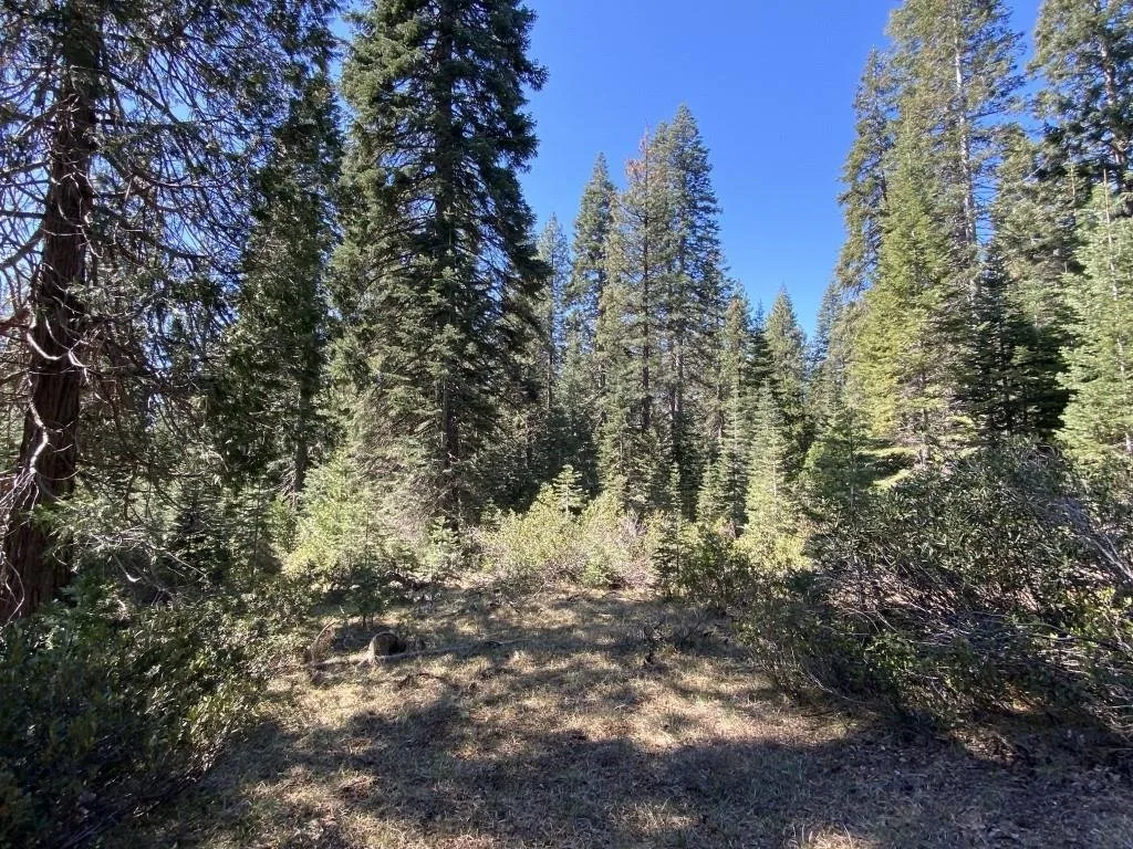 3-E-7 Mt Shasta Dr, McCloud — view 9 of 12