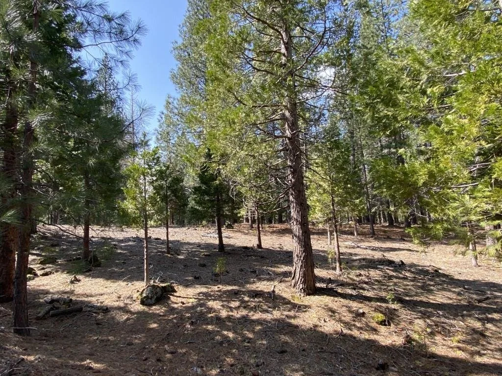 Lot 33 Glenhaven Ct, Weed — view 6 of 12