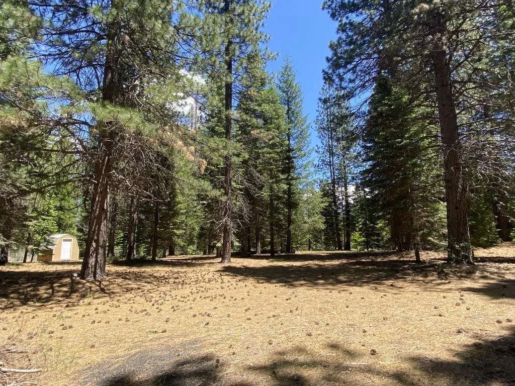 Lot 3 Twin Hills Ct, Mount Shasta — view 3 of 12
