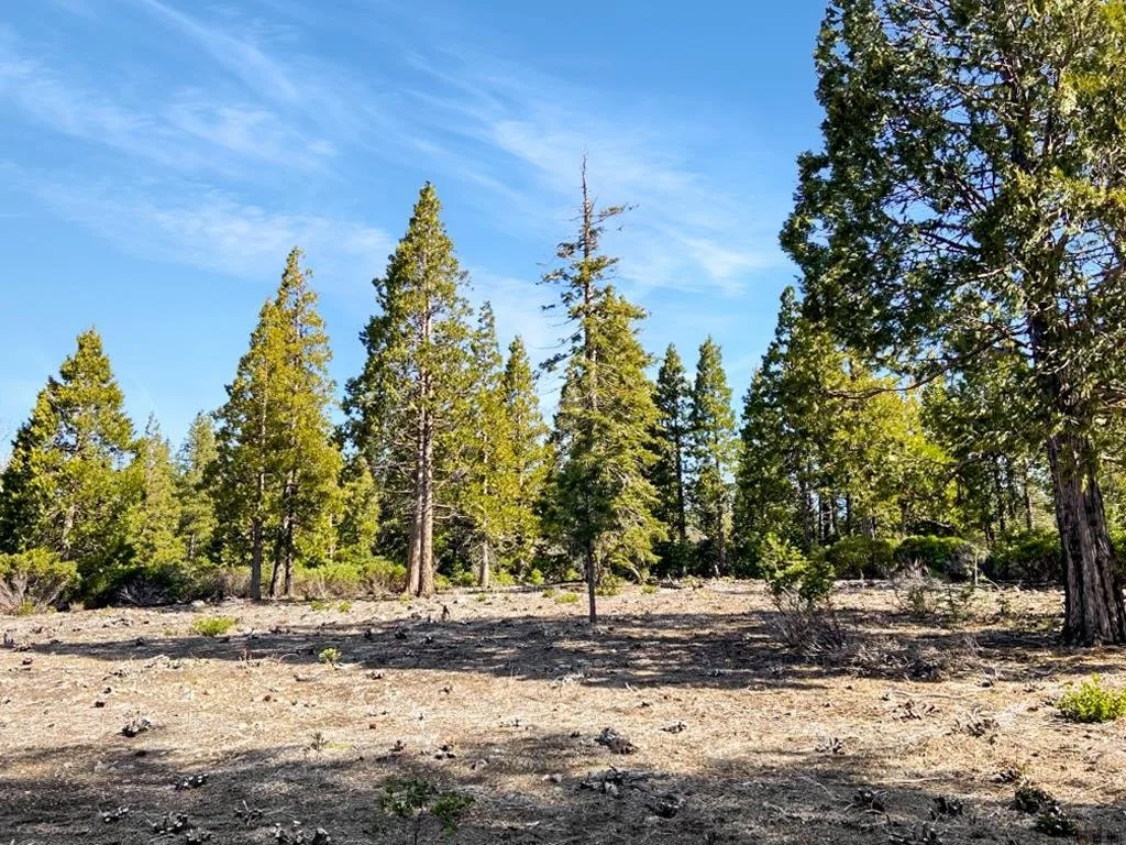 Lot 55 Hidden Meadow Dr, Weed — view 8 of 12
