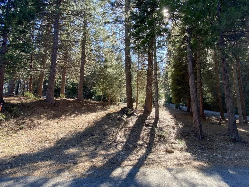 Lot 22 Woodside Ct, Mount Shasta — view 11 of 12