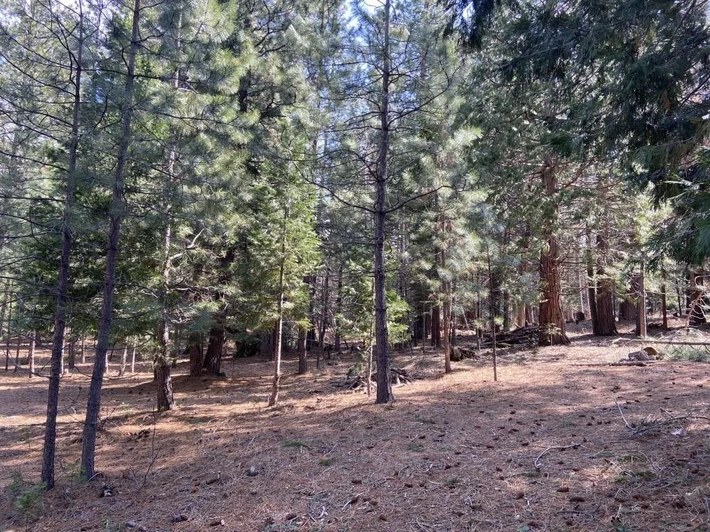 Lot 33 Glenhaven Ct, Weed — view 12 of 12