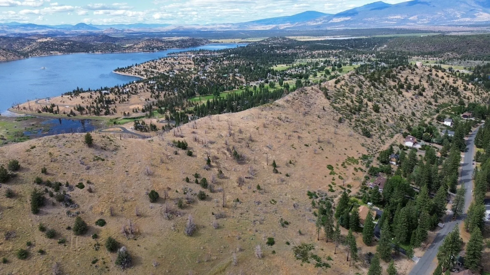 Zen Mountain, Weed — view 10 of 12