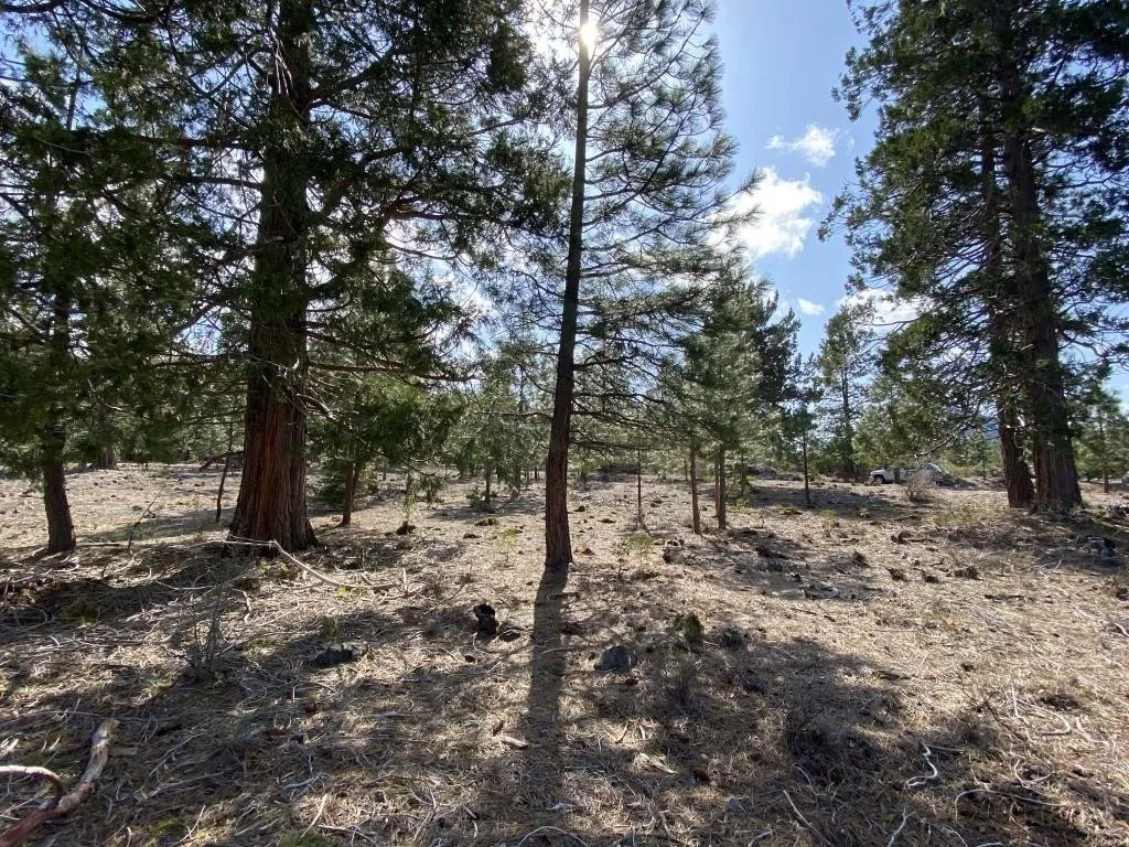 Lot 63 Heather Pl, Weed — view 2 of 12