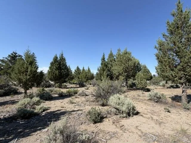 8-2/110 Archer Road, Weed — view 4 of 5