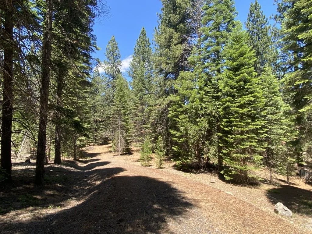 Lot 3 Twin Hills Ct, Mount Shasta — view 7 of 12