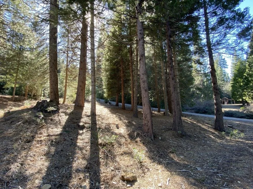 Lot 22 Woodside Ct, Mount Shasta — view 3 of 12