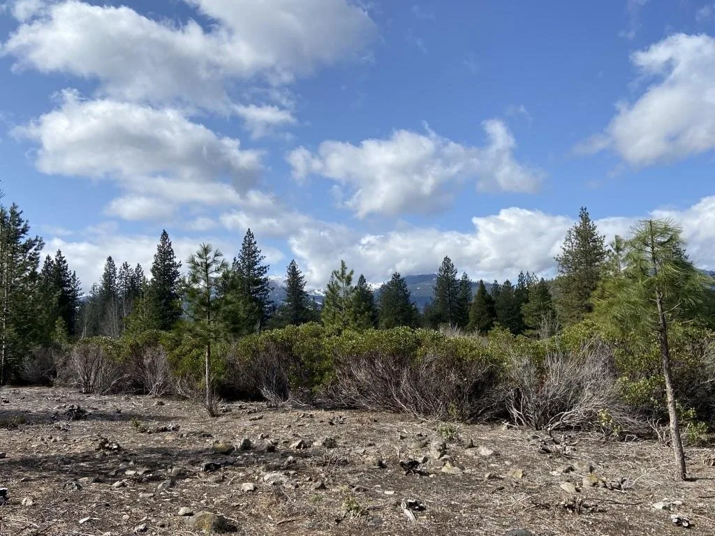 Lot 58 Heather Pl, Weed — view 2 of 12