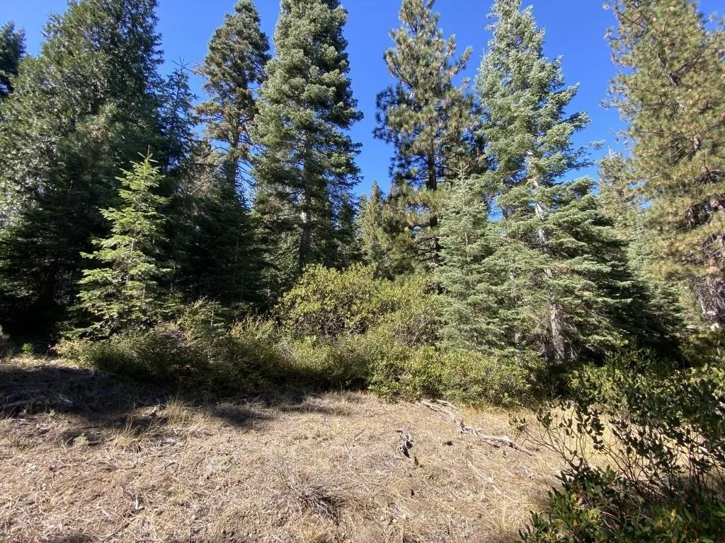 3-C-23 Fumarole Dr, McCloud — view 7 of 12