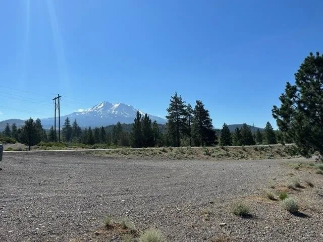 Blk 1 Lot 10 Big Springs Road, Weed — view 3 of 8