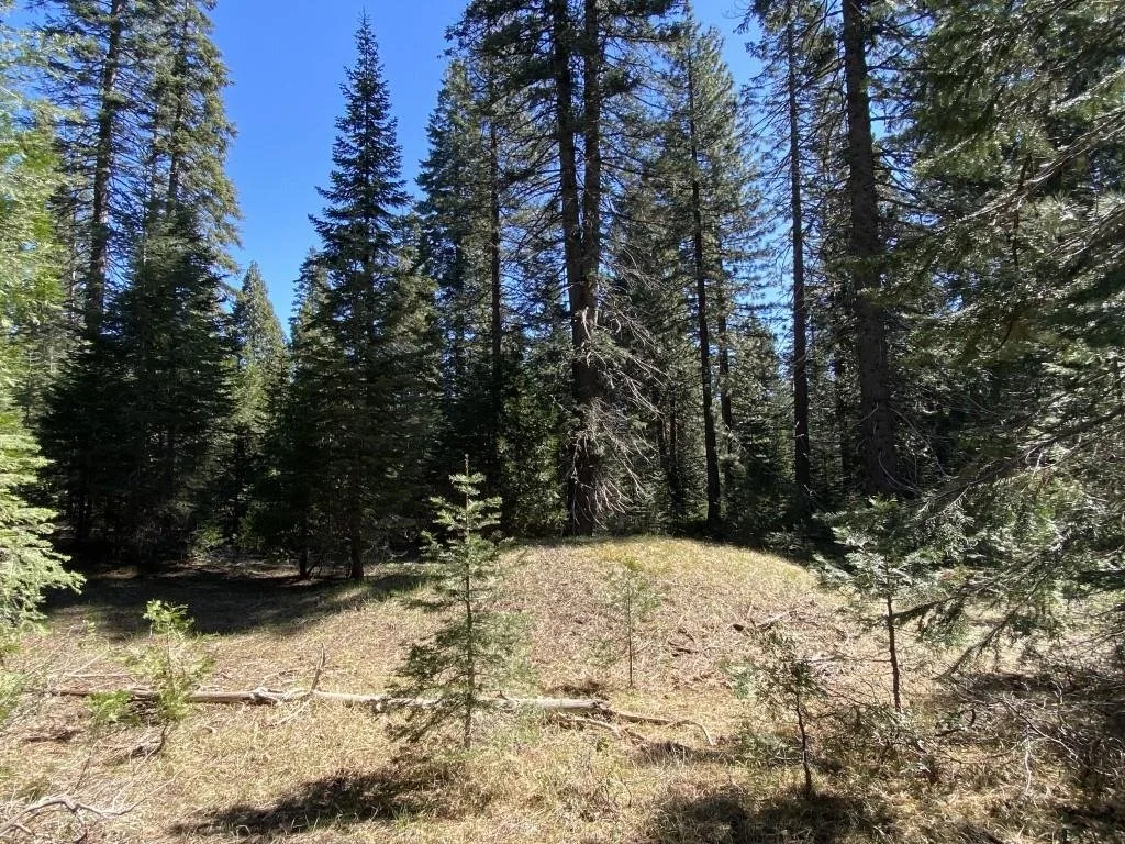 3-E-7 Mt Shasta Dr, McCloud — view 3 of 12
