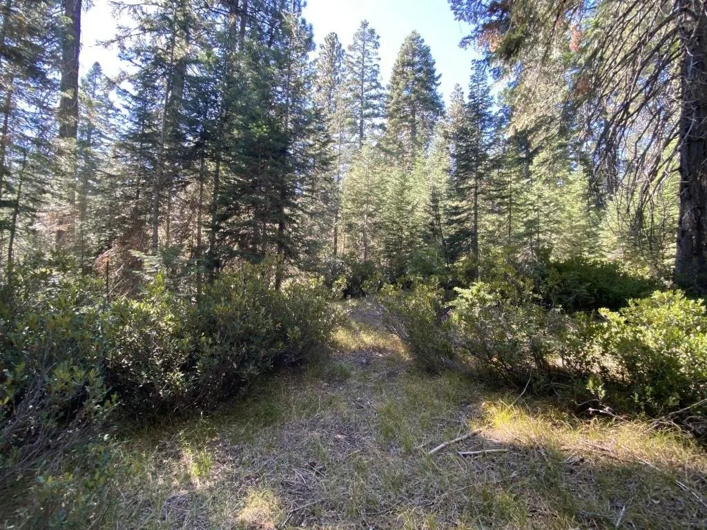 3-C-23 Fumarole Dr, McCloud — view 6 of 12