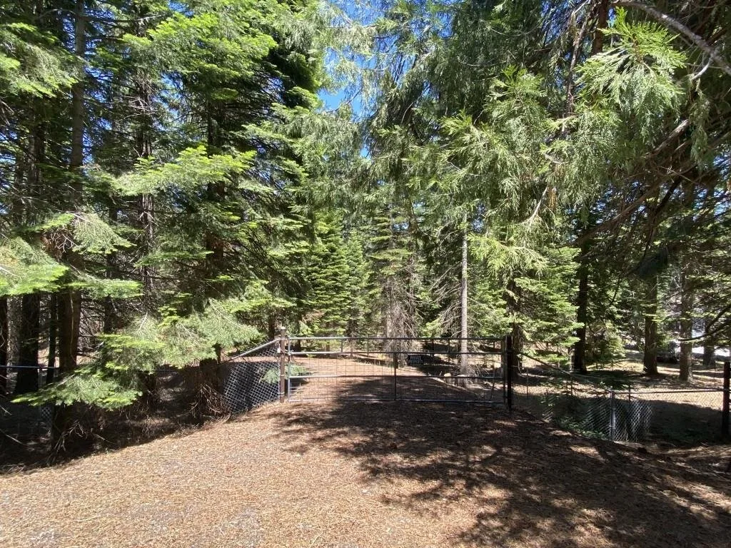 Lot 3 Twin Hills Ct, Mount Shasta — view 5 of 12