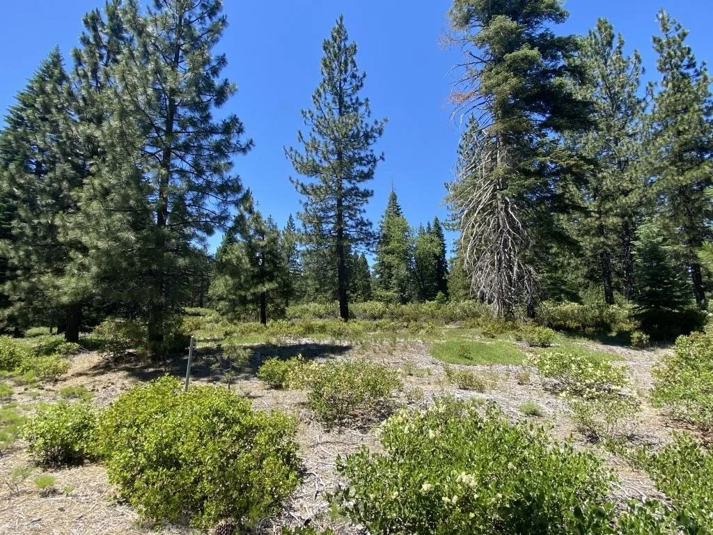 2-E-15 Snowline Cir, McCloud — view 8 of 12